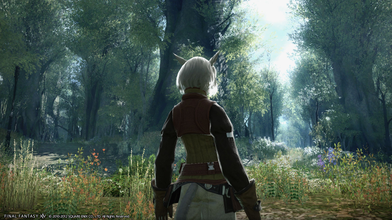 Illustration for article titled Wow, Final Fantasy XIV, You've Changed